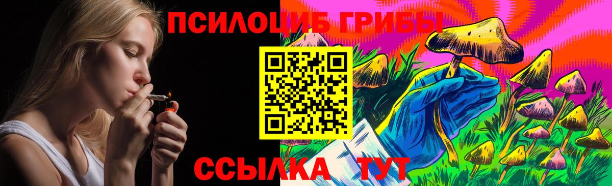 Псилоцибиновые грибы GOLDEN TEACHER Берёзовский