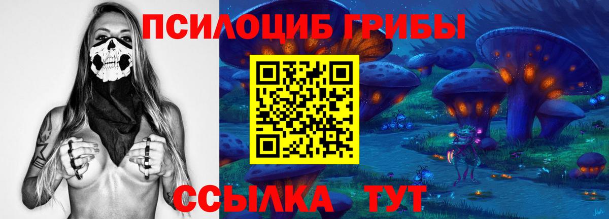 Псилоцибиновые грибы ЛСД  Берёзовский  Галлюциногенные грибы GOLDEN TEACHER 