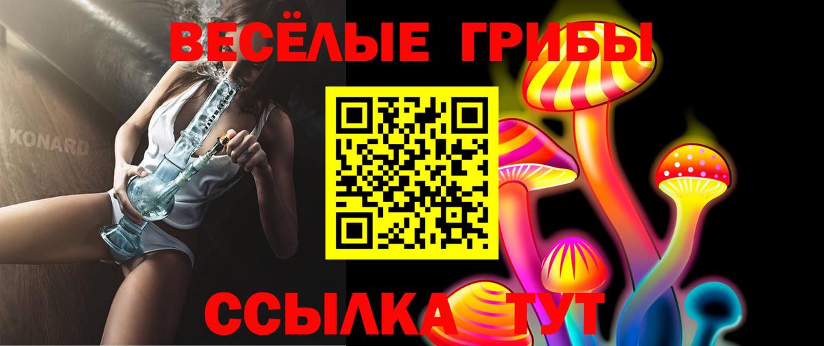 Псилоцибиновые грибы Cubensis Берёзовский